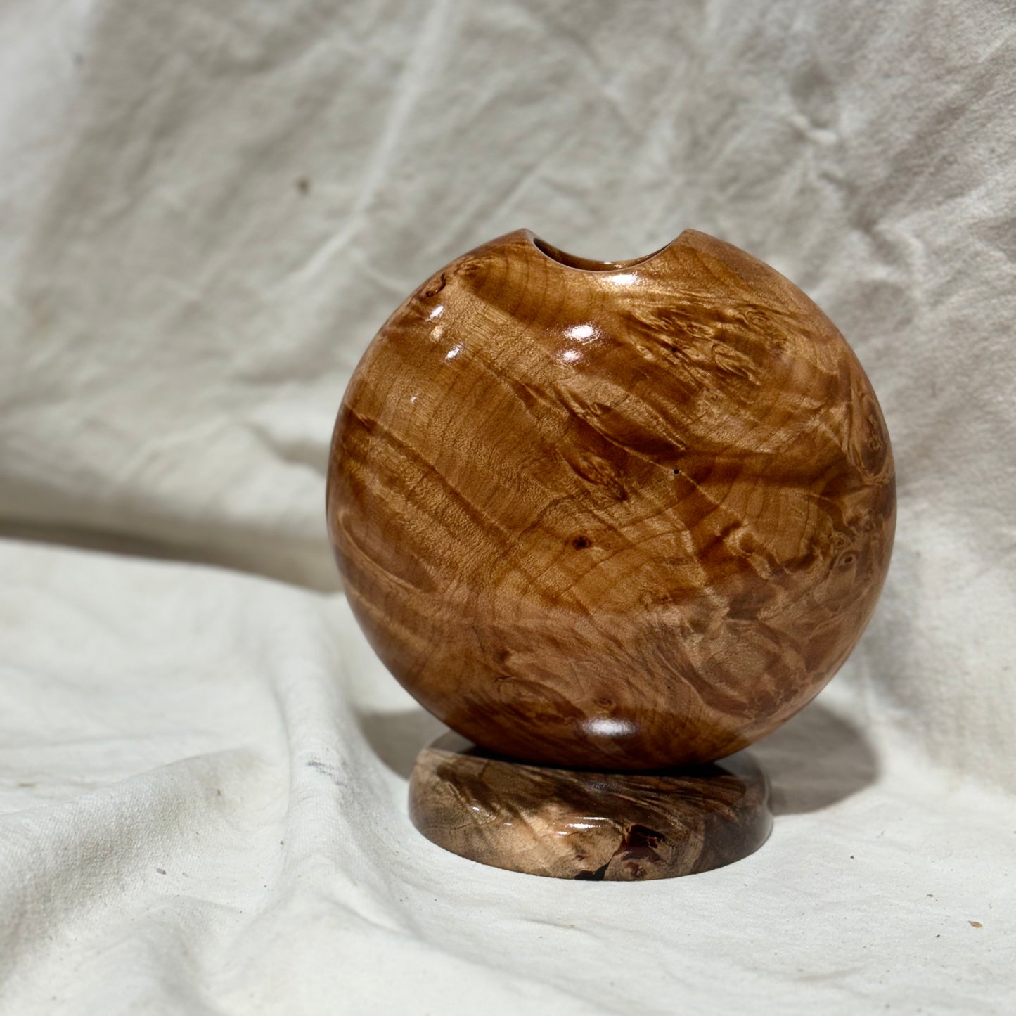 Highly Figured Maple Burl Disc Vase with Black Walnut Base