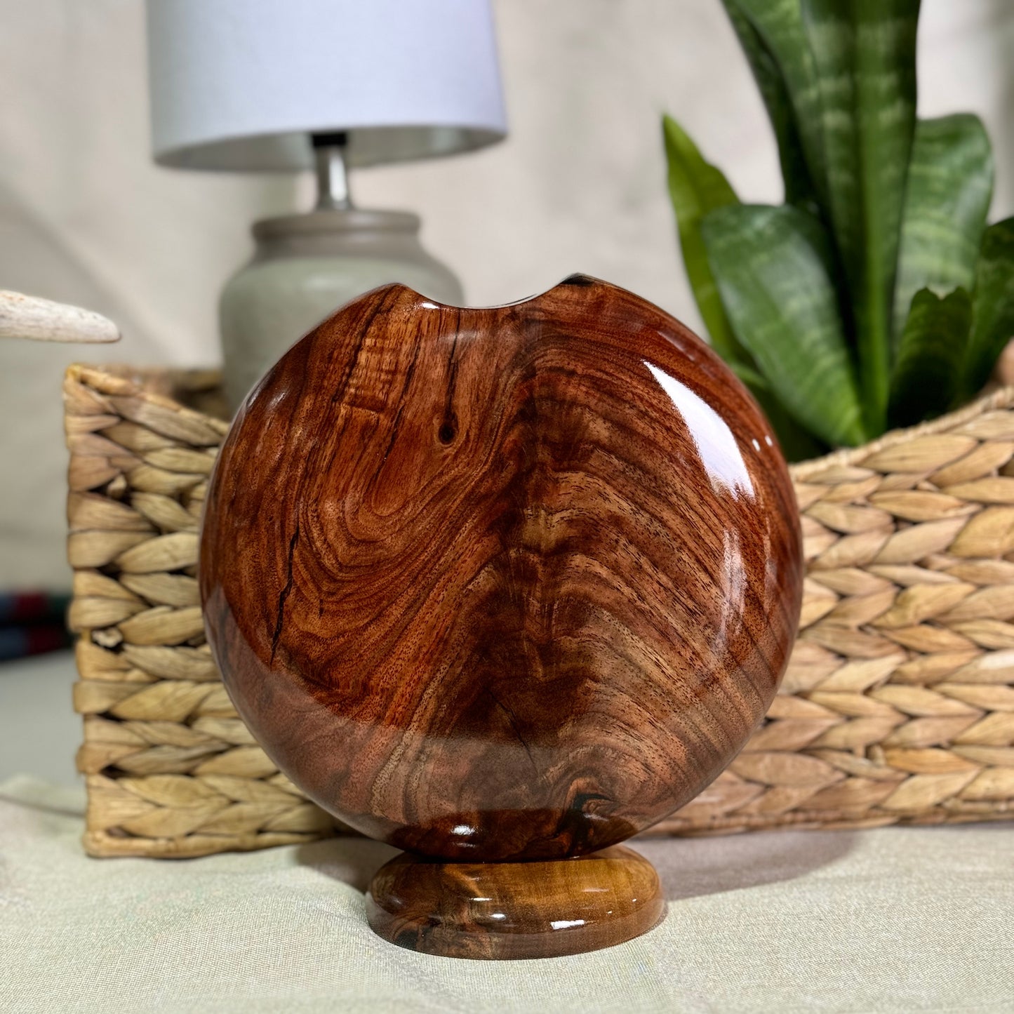 Black Walnut Disc Vase with Flame Figuring