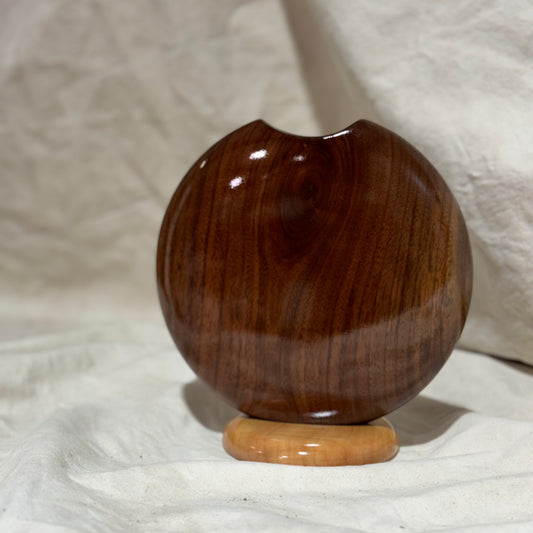 Black Walnut Disc Vase with Maple Base