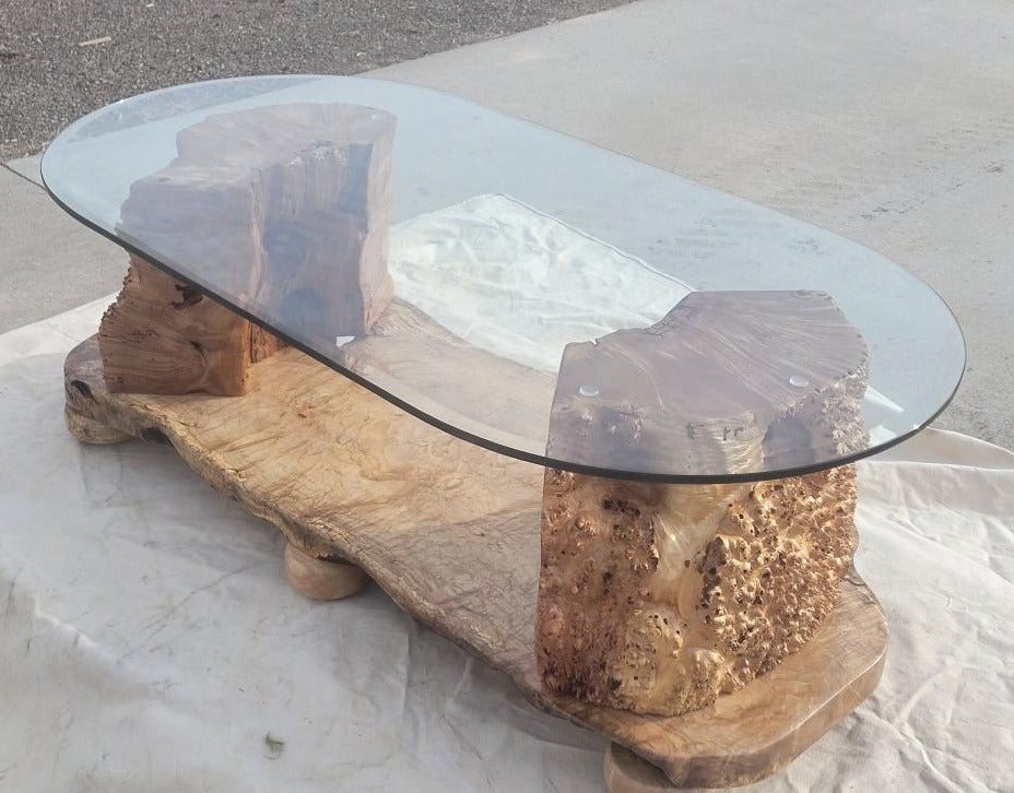 Burled Wood Glass Topped Coffee Table with Maple Base