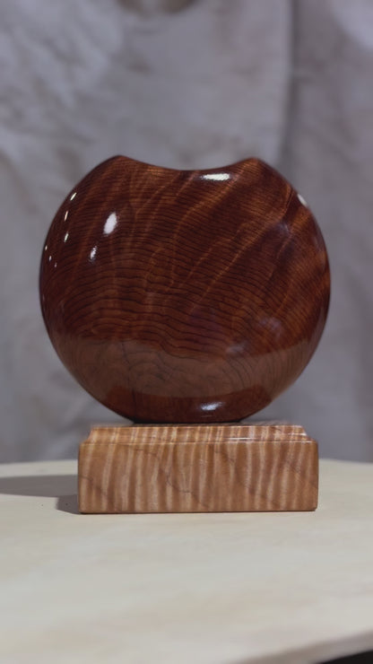 Figured California Redwood Disc Vase with Maple Base