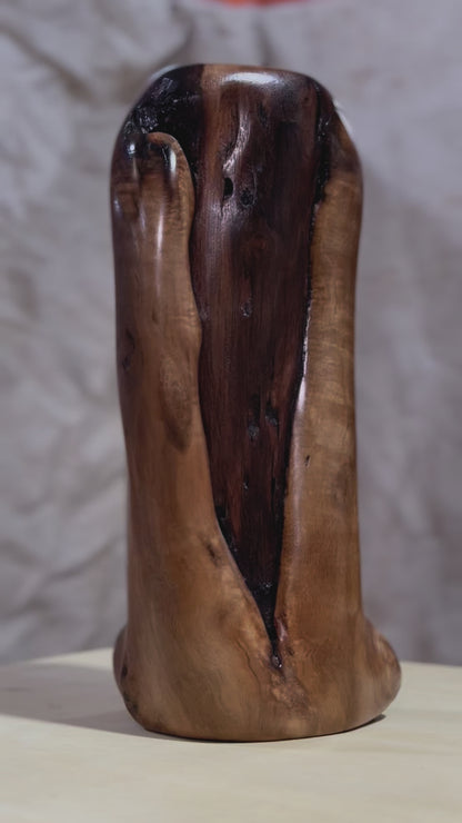 Black Walnut Vase with Branch Collar "V"