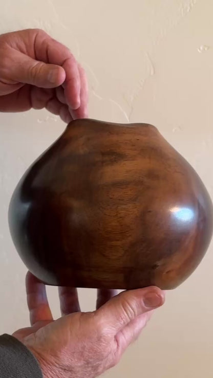 Cat's Eye Black Walnut Vase Rich in Color