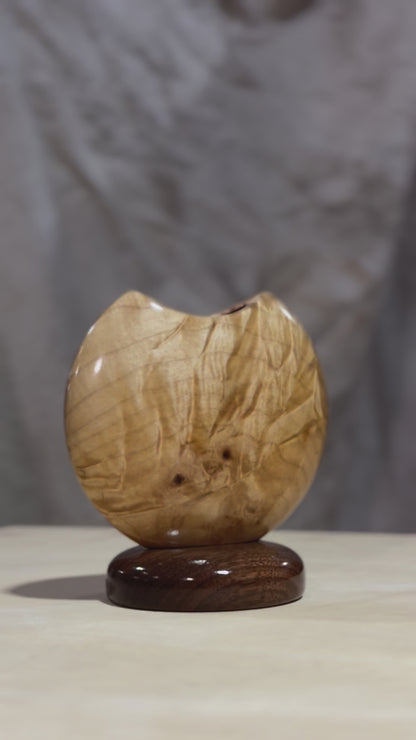 Figured Maple Mini Disc Vase #2 with Black Walnut Base