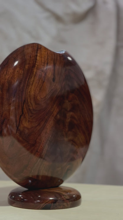 Black Walnut Disc Vase with Flame Figuring