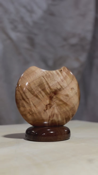 Figured Maple Mini Disc Vase #1 with Black Walnut Base