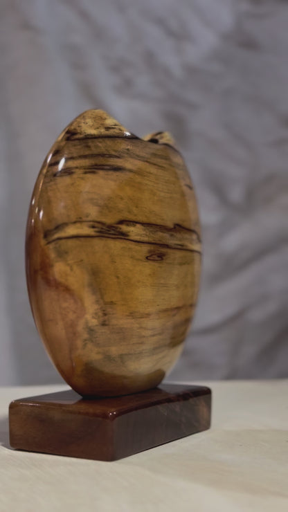 Spalted Birch Disc Vase with Black Walnut Base