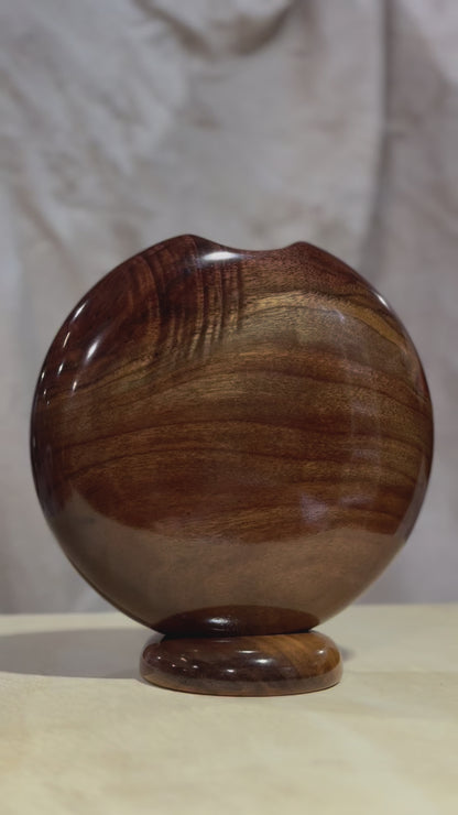 Black Walnut Disc Vase with Black Walnut Base