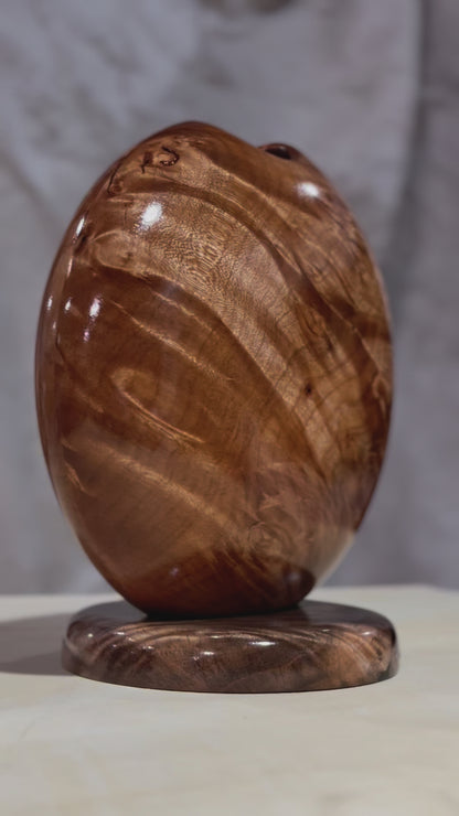 Highly Figured Maple Burl Disc Vase with Black Walnut Base