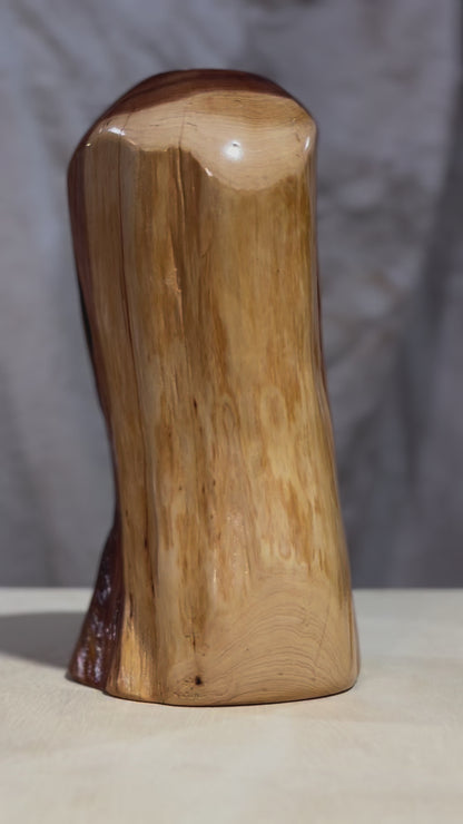 Twisted Juniper Vase