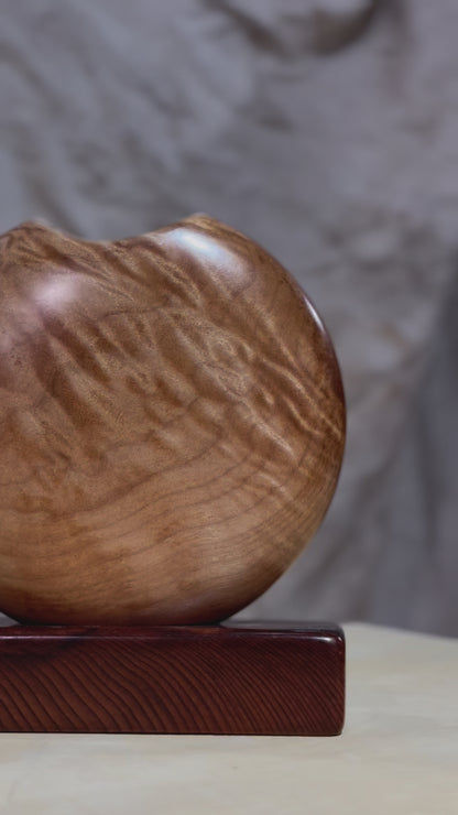 Figured Maple Disc Vase with California Redwood Base