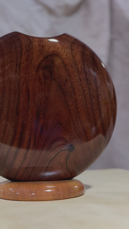 Black Walnut Disc Vase with Maple Base